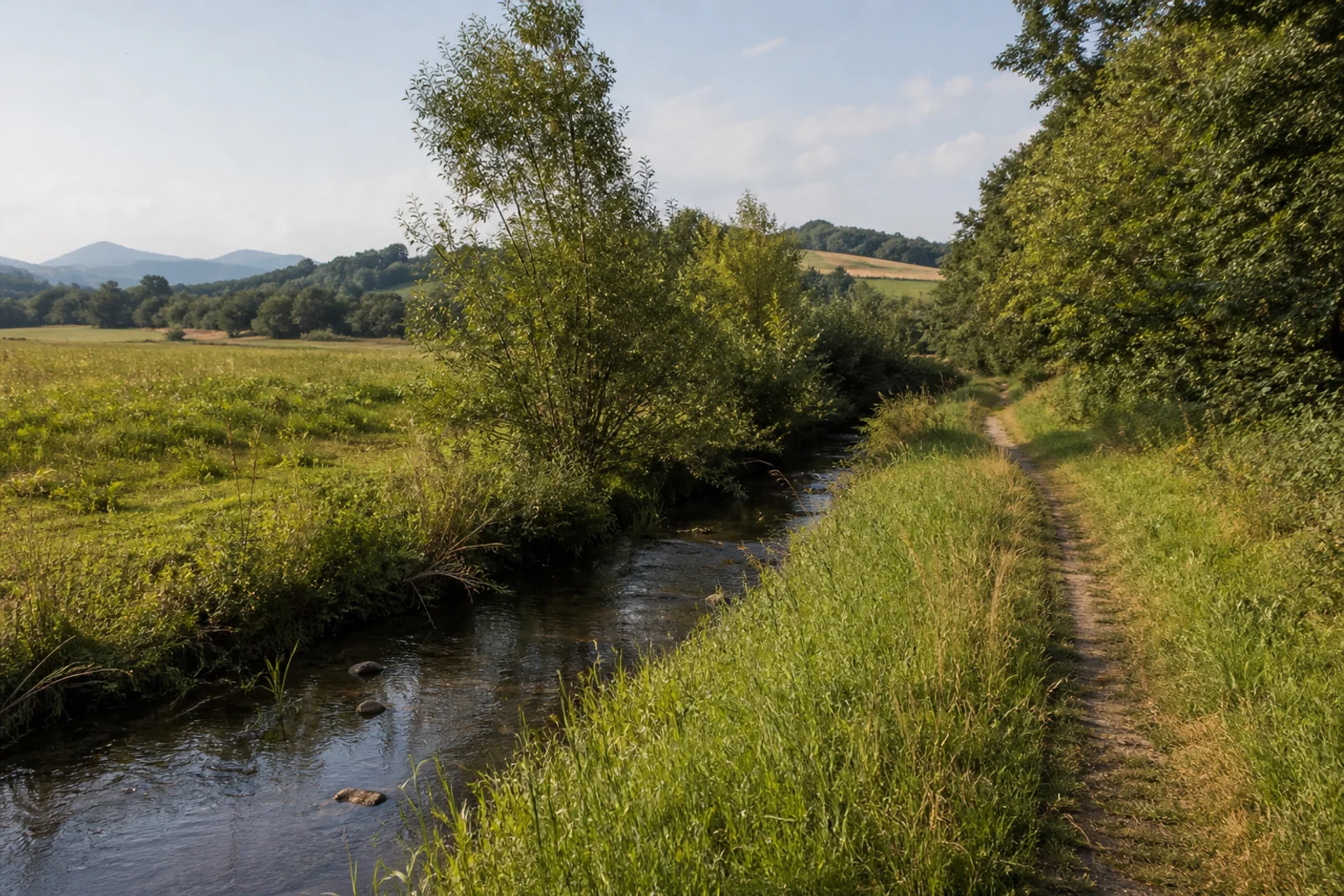 Wiesenweg im Pleisbachtal