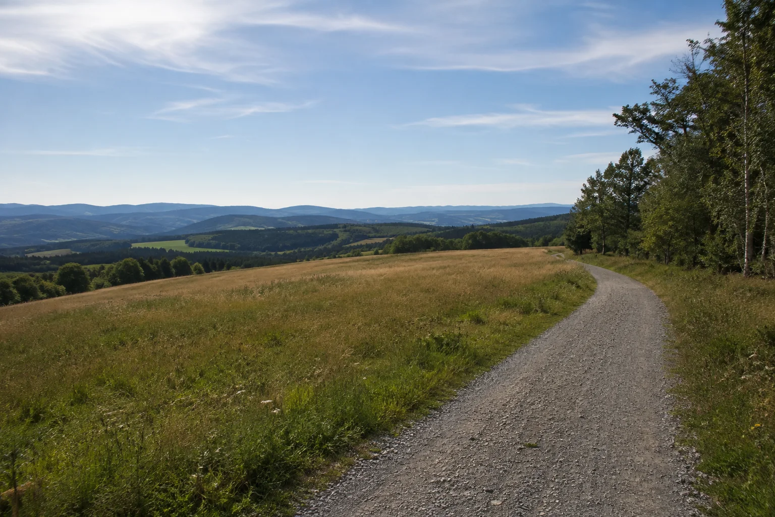 Maibrunner Hangwiesen: Kiesweg an einer offenen Wiese mit weitem Blick über gestaffelte niedrige Bayerwaldhügel.