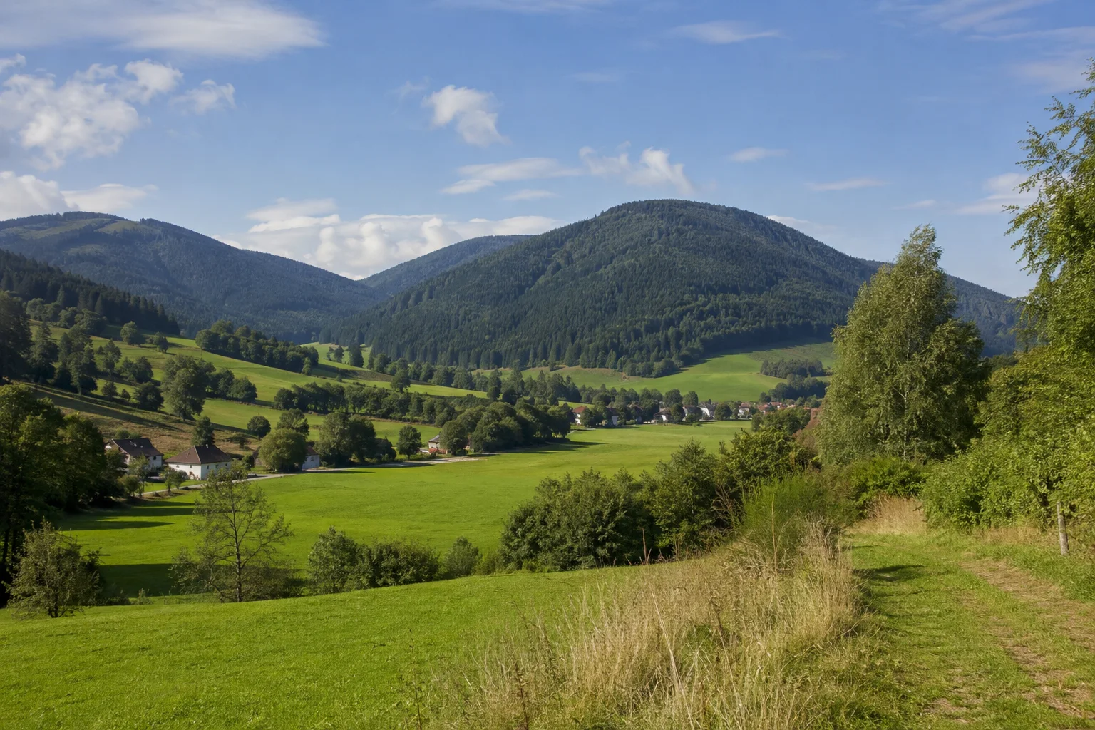 Sankt Englmar: Sankt Englmar: Englmarer Hochtal: grüne Wiesenmulde mit wenigen Dorfhäusern, runde dicht bewaldete Tausenderberge.