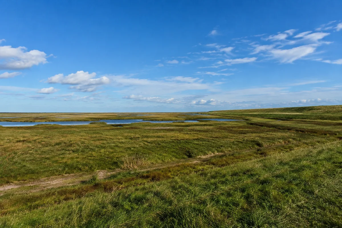 Böhler Marsch: Ebene Wiesen vor niedrigem grasbewachsenem Seedeich mit weitem Himmel