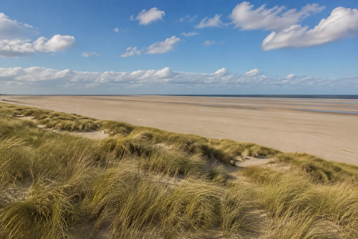 Sankt Peter-Ording Küstenlandschaft: Sehr breiter ebener heller Sandstrand hinter natürlichen niedrigen Strandhaferdünen ohne Gebäude