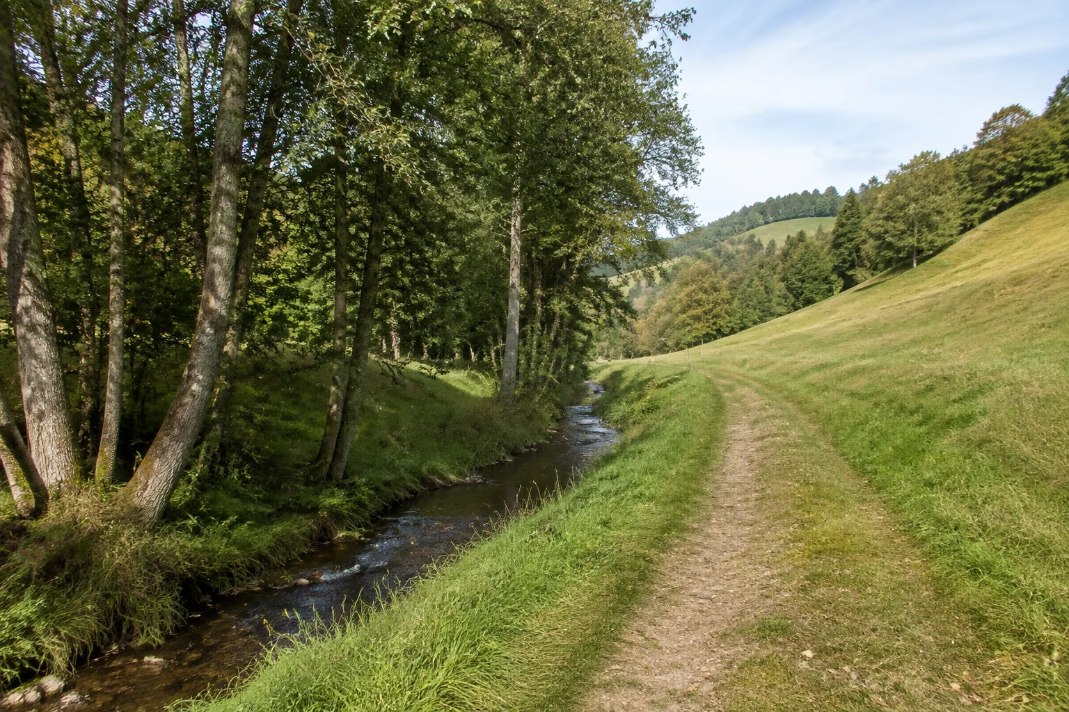 Winterbacher Tal: kleiner Bach neben einem Wiesenweg, Laubbäume am Wasser und sanfte grasige Hänge.