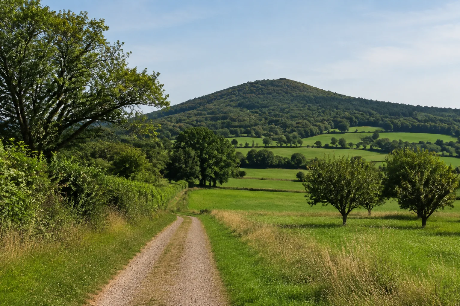Schaumbergland bei Tholey: hügelige Feldlandschaft mit Hecken, Obstbäumen und einem einzelnen rundlichen bewaldeten Berg.