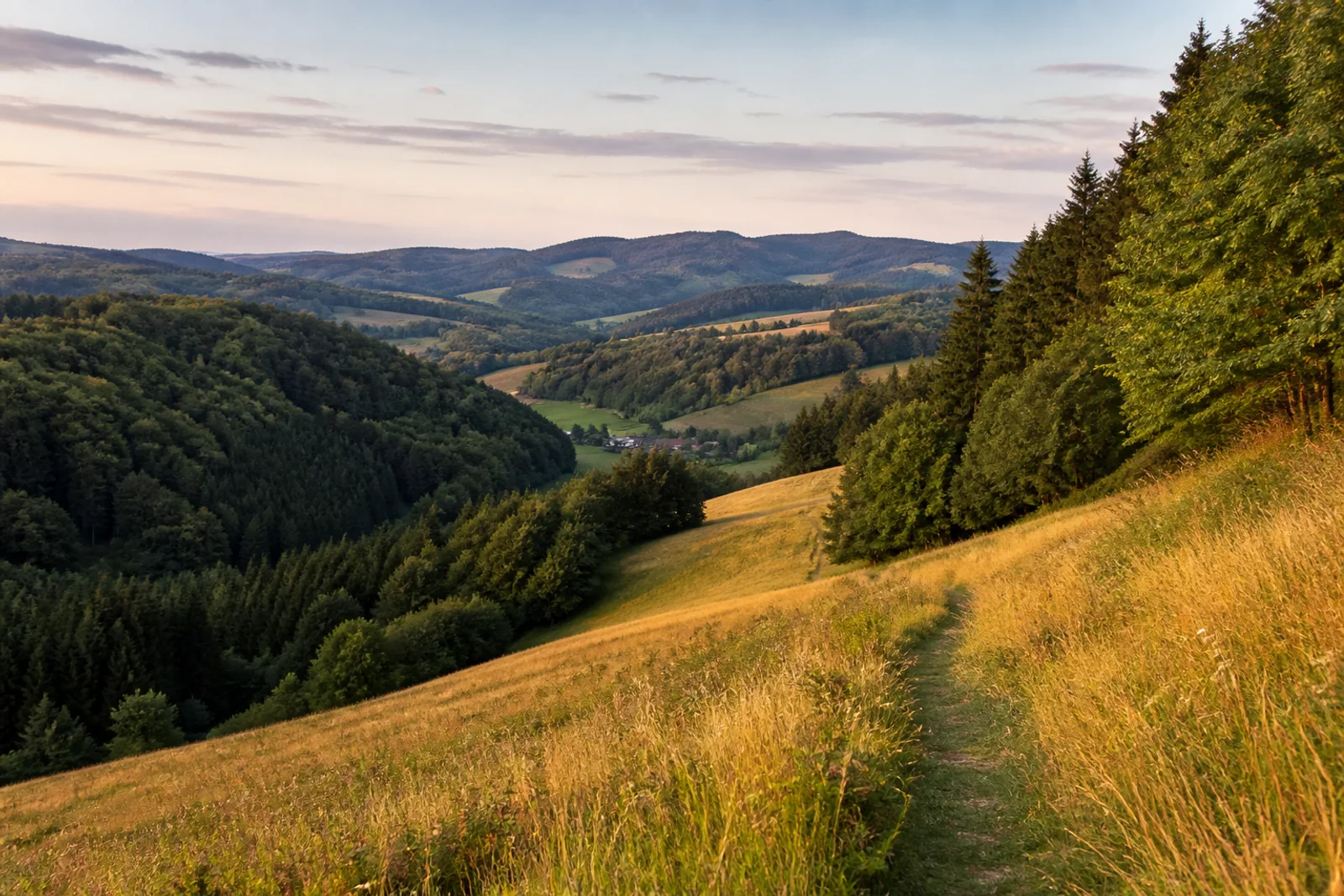 Sauerland in der Homert mit Wiesenpfad, Waldhängen und kleinem grünen Tal