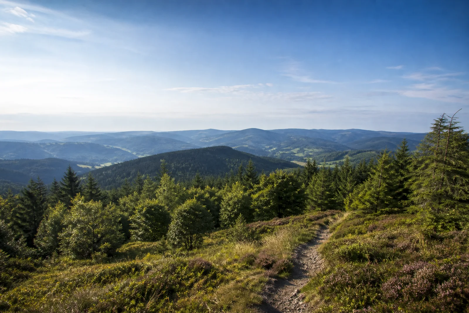 Sauerland mit schmalem Höhenweg, Heide und bewaldeten Rothaargebirgsrücken