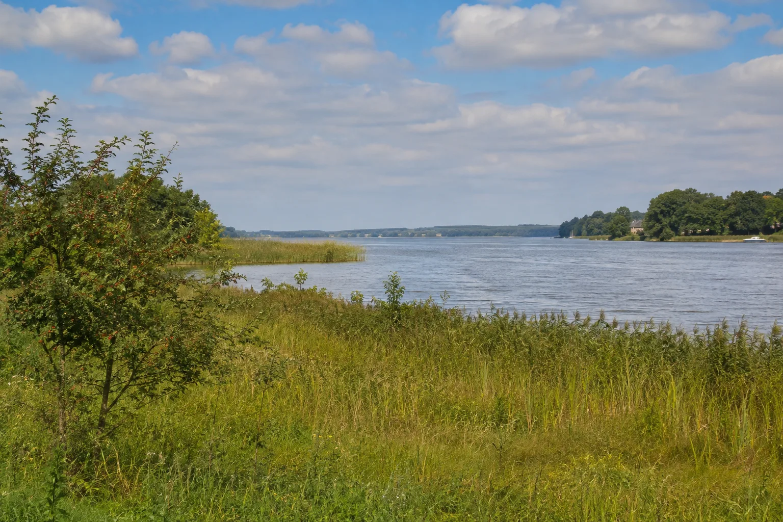 Ostufer bei Diensdorf: Dorfnahe Wiesen und Gehölze mit Blick über das Wasser
