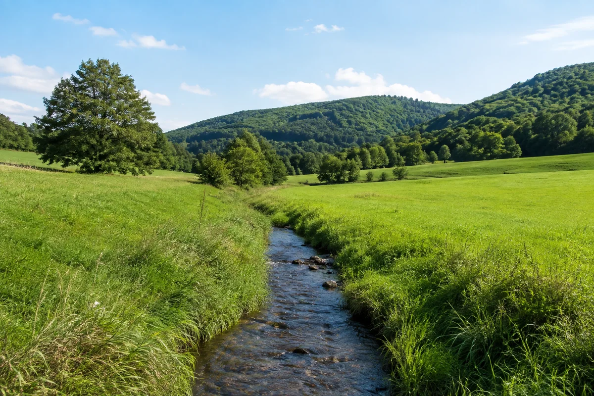 Elgershausen: kleiner Baunabach in grüner Talwiese vor niedrigen Waldhängen