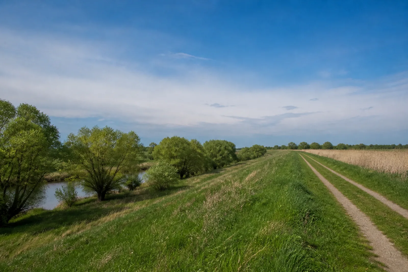 Wiesenweg in der Lippeaue bei Gahlen