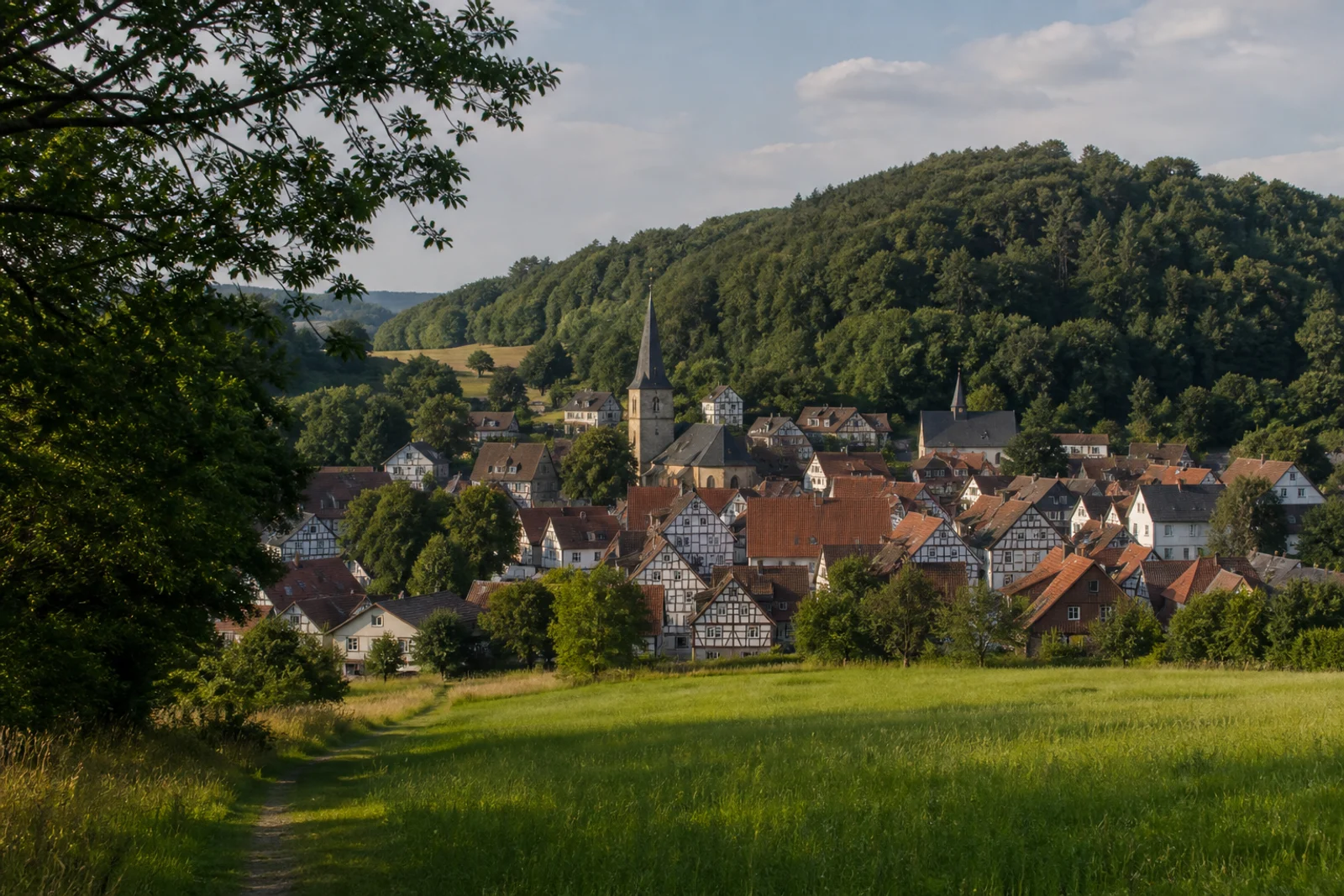 Fachwerk und bewaldeter Burgberg in Schwalenberg