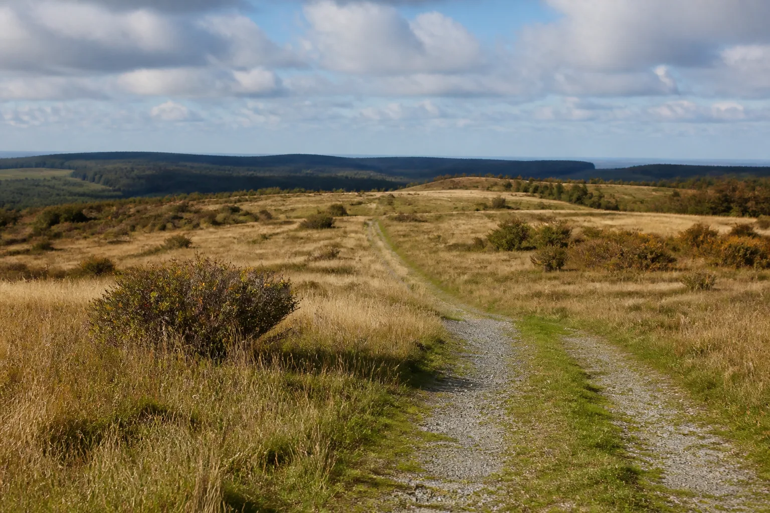 Wanderweg über die Dreiborner Hochfläche bei Schleiden