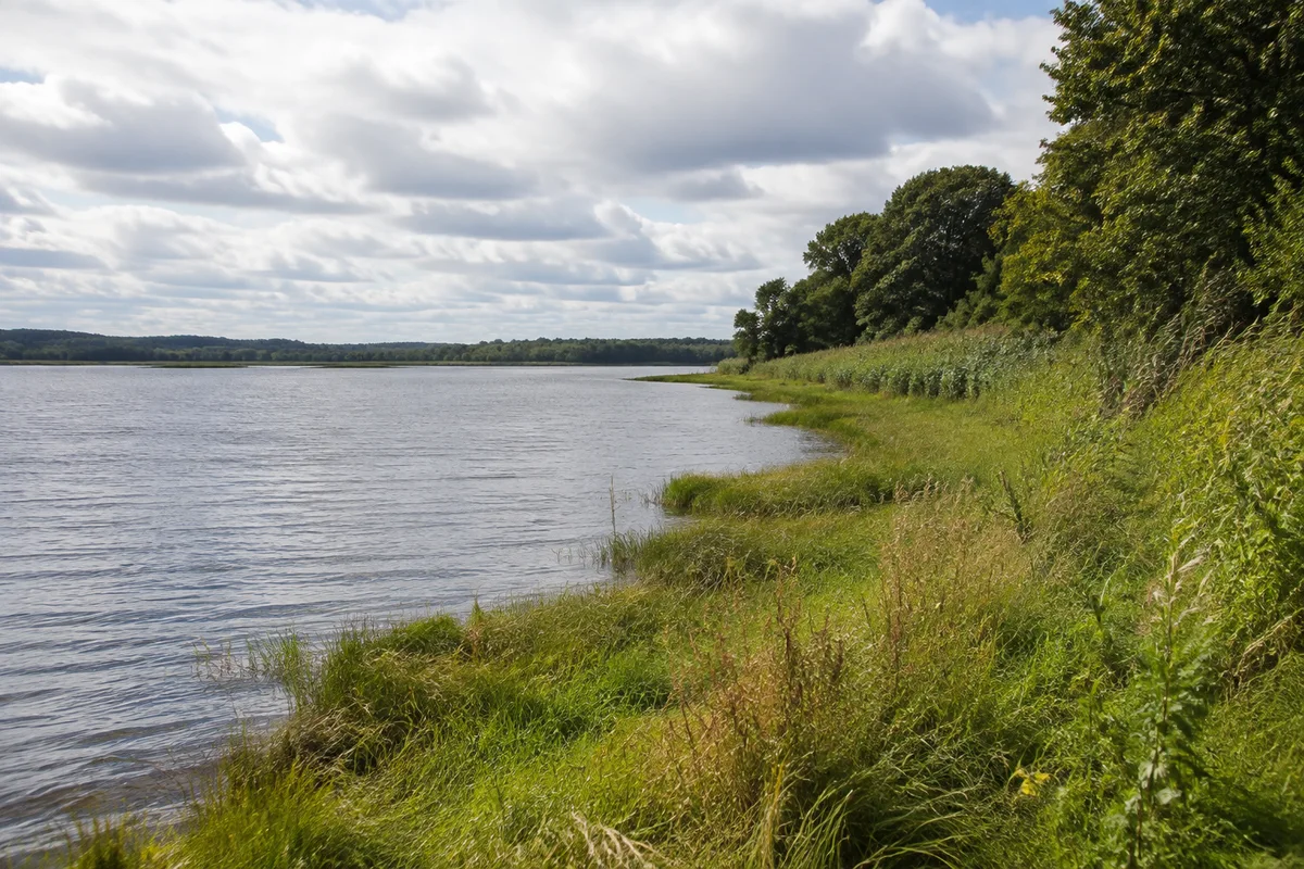 Schlei bei Friedrichsberg: Ruhiges breites Wasser mit grasigem Ufer und Laubbäumen unter norddeutschem Wolkenhimmel