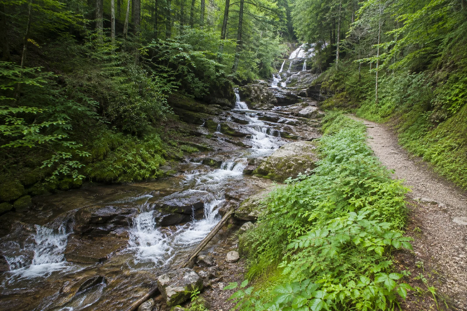 Josefstaler Wasserfälle: gestufter Waldbach über hellem Fels und Moos