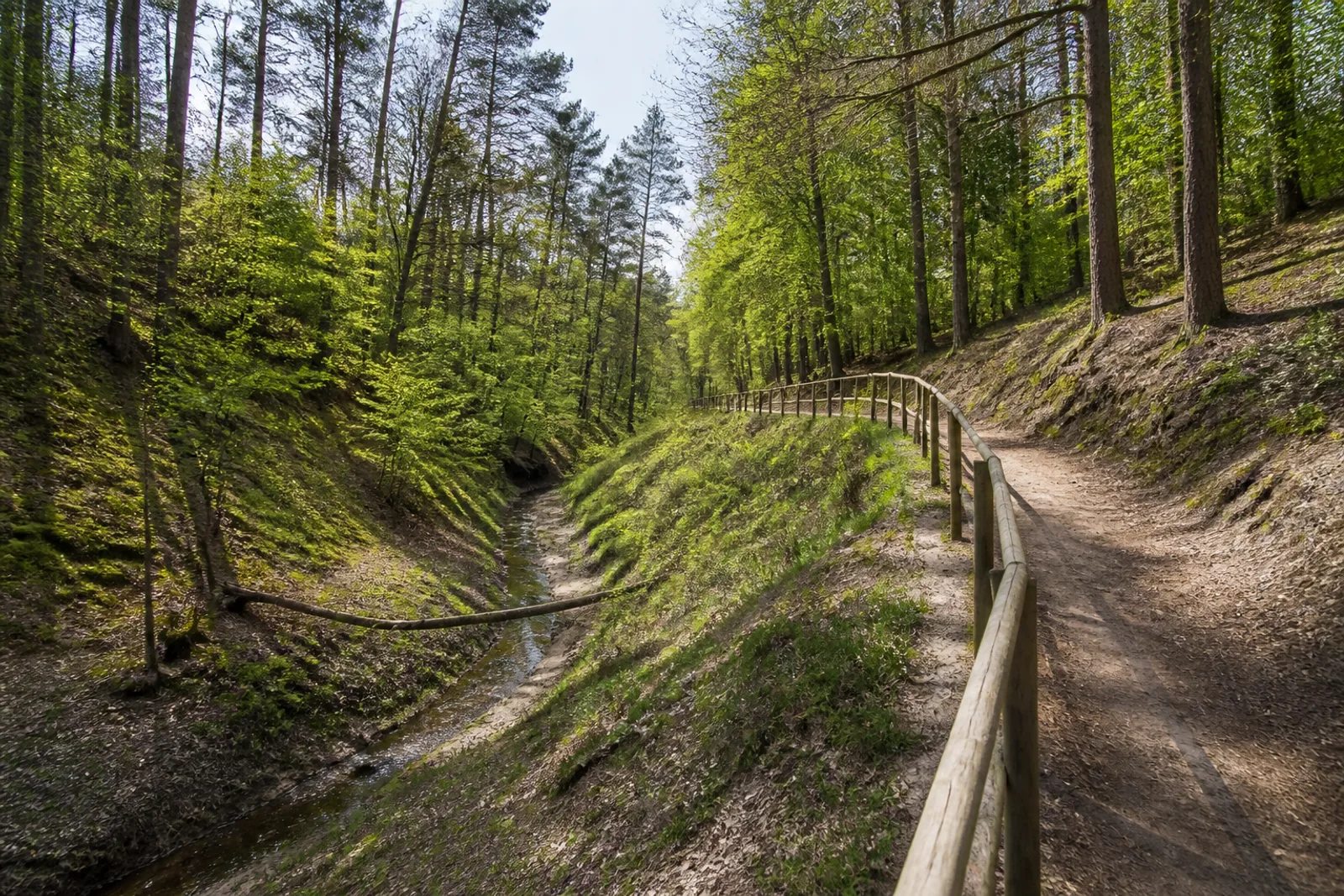 gewundener Pfad im Furlbachtal