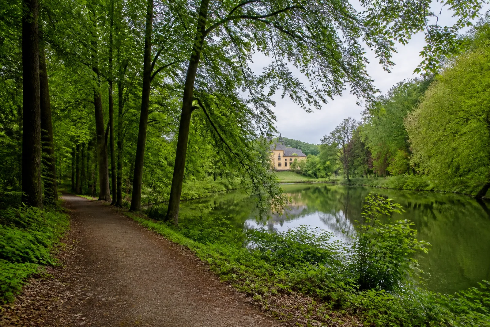 Laubwaldweg am Jagdschloss Holte