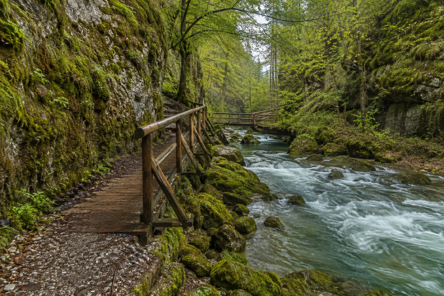 Wutachpassagen: feuchte Felspfade und kleine Stege entlang des Flusses