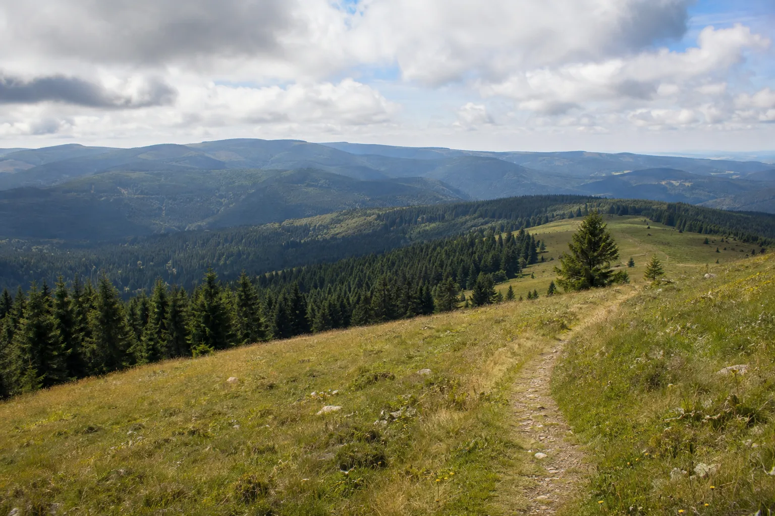 Südschwarzwald-Höhen: offene Matten und bewaldete Kämme zwischen Schluchsee und Todtmoos