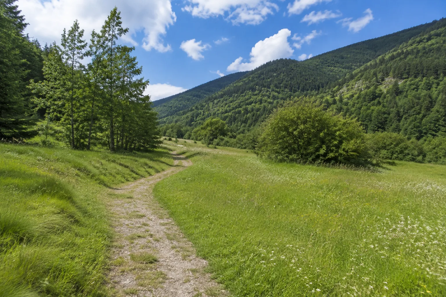Werraaue: offener Wiesenweg an der Schmalkalde vor Mittelgebirgshängen