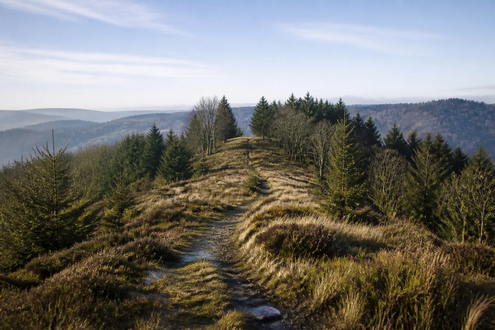 Naturweg über einen offenen Abschnitt des Hunaurückens