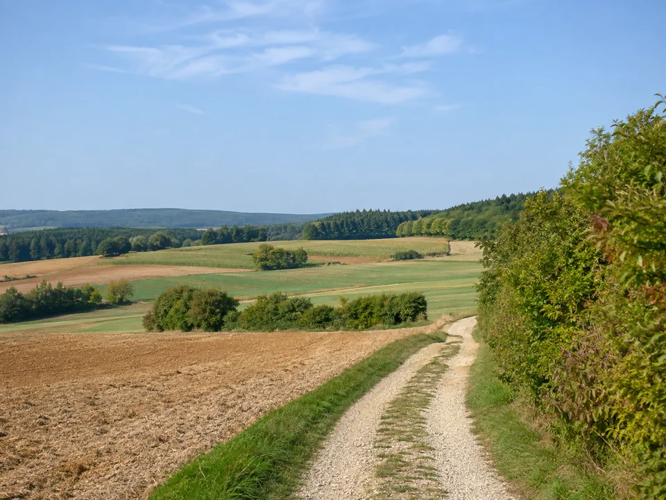 Hochfläche bei Hormersdorf: Feldweg auf der leicht welligen Hochfläche bei Hormersdorf mit Hecken, Äckern und Waldstreifen.