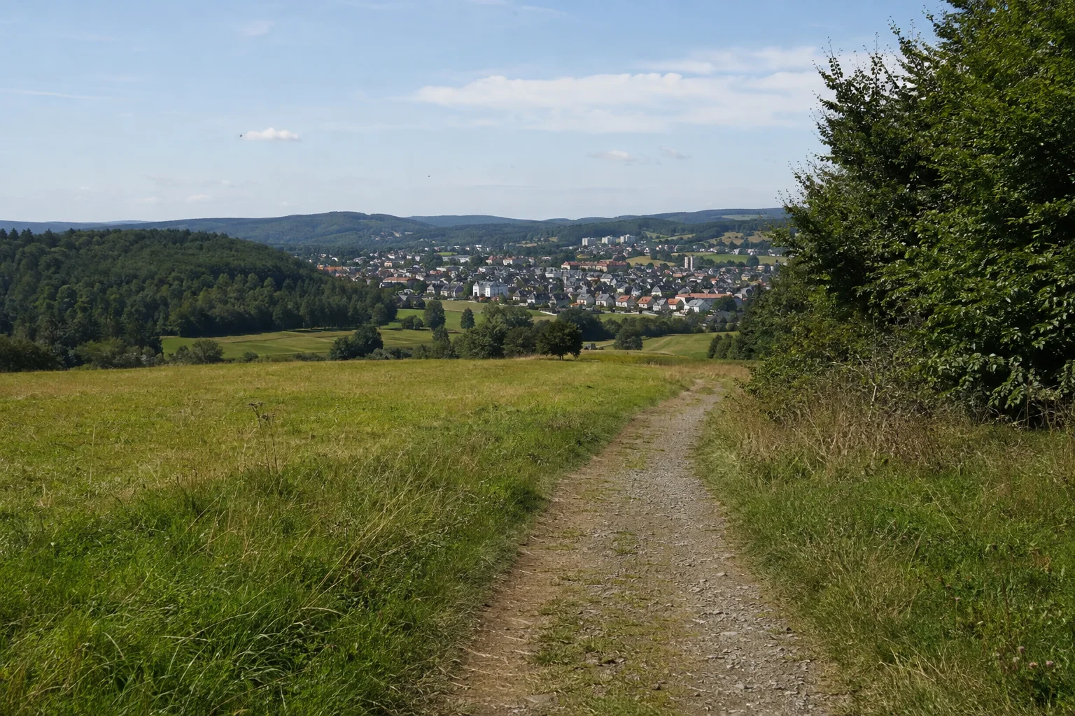 Neustädtler Landschaft: Wiesenpfad mit entfernten Bergstadtdächern unter niedrigen Waldhöhen