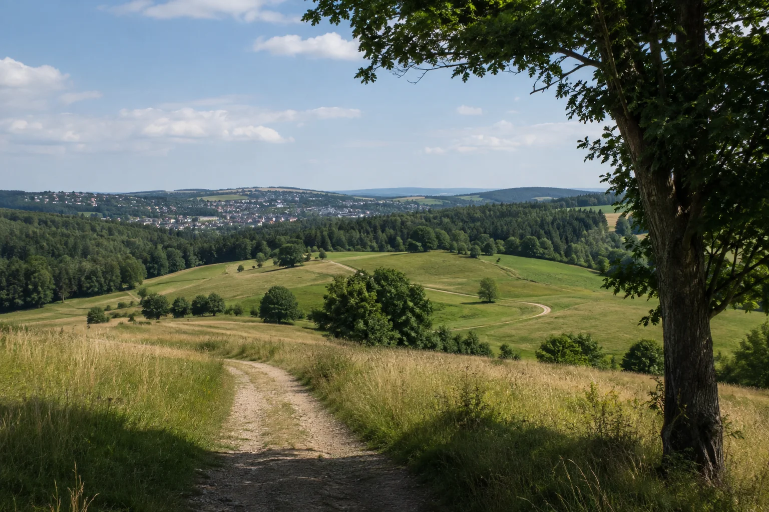 Schneeberg (Erzgebirge): Lindenauer Höhen: welliges Grünland mit einzelnen Bäumen und gemischten Waldstücken bei Schneeberg