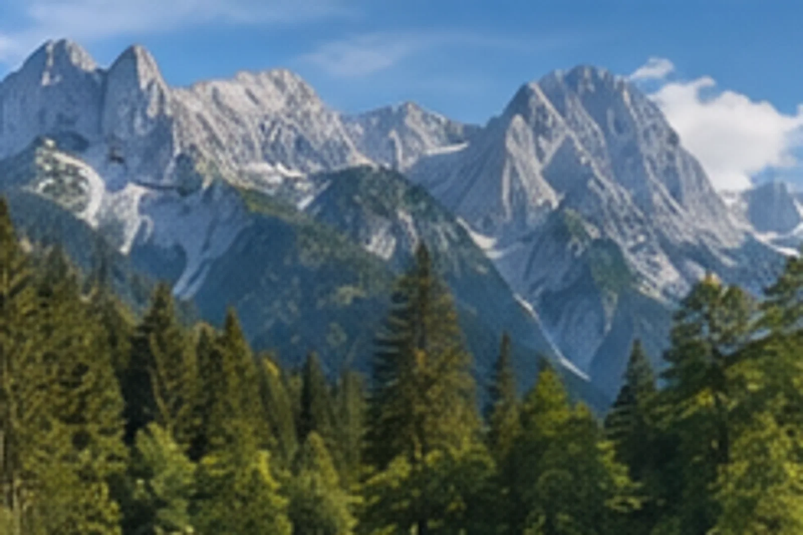 Hammerstiel: Bergwald und Wiesen am Watzmannfuß