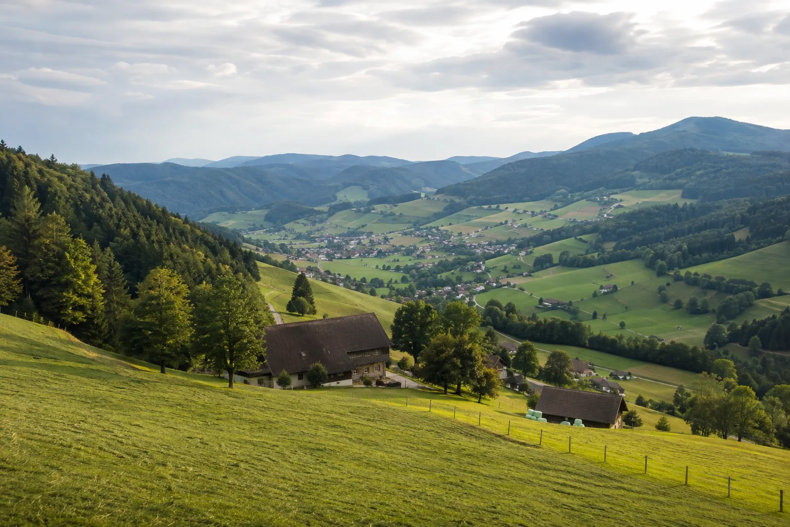 Schönenberg: Bergwiesen und Höfe über dem Wiesental