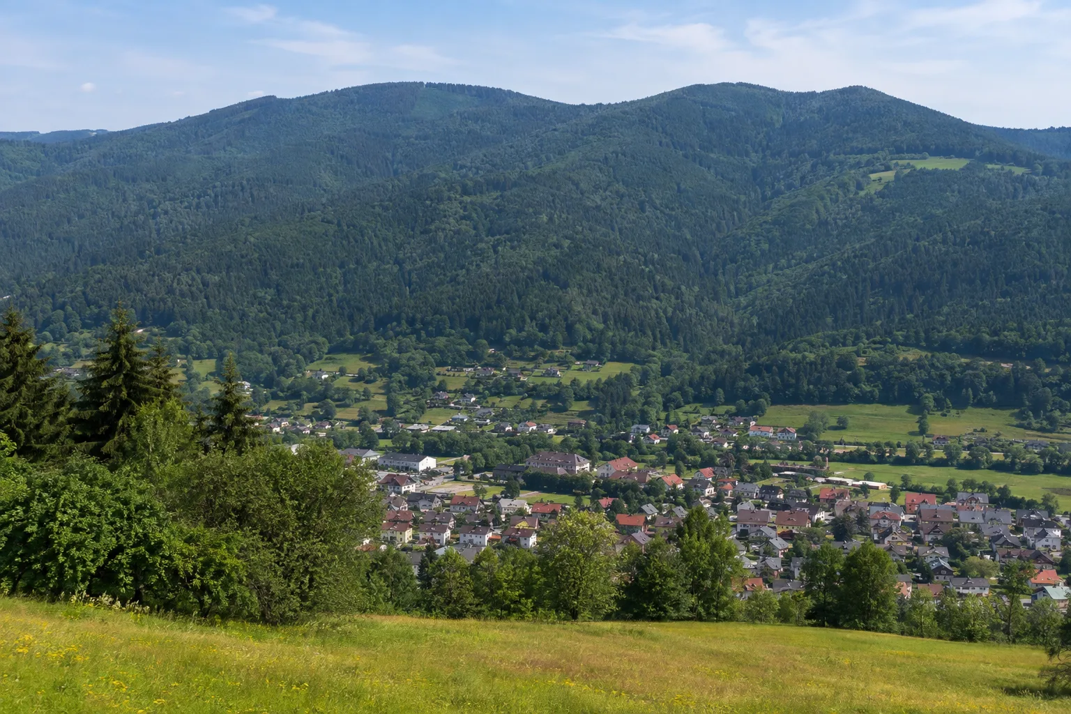 Schönau im Schwarzwald: Schönau im Schwarzwald: Kleinstadt im oberen Wiesental unter bewaldeten Südschwarzwaldhängen
