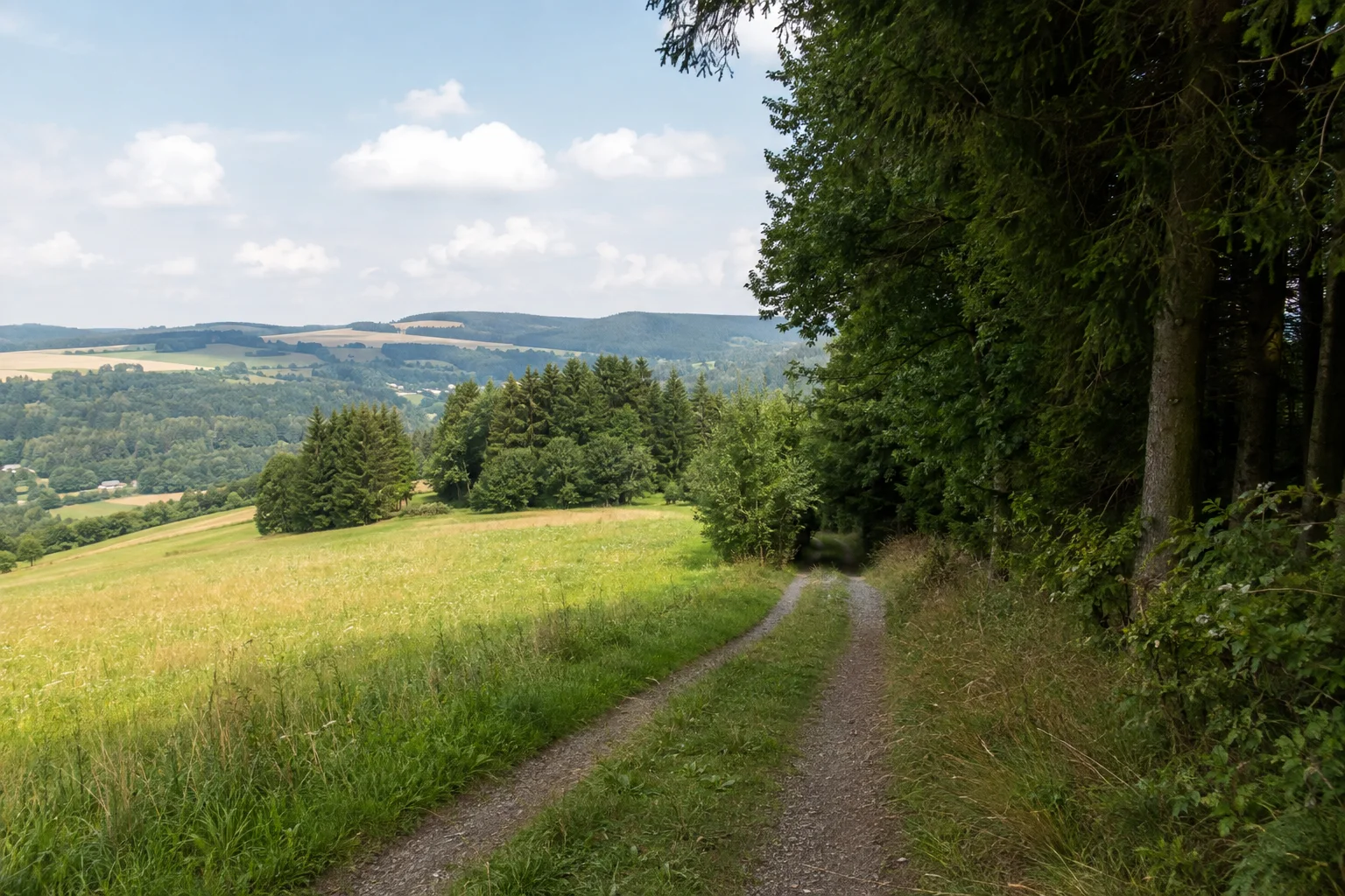 Gunzen am Wald: ruhiger Dorfwiesenweg am Rand von Fichten- und Mischwald