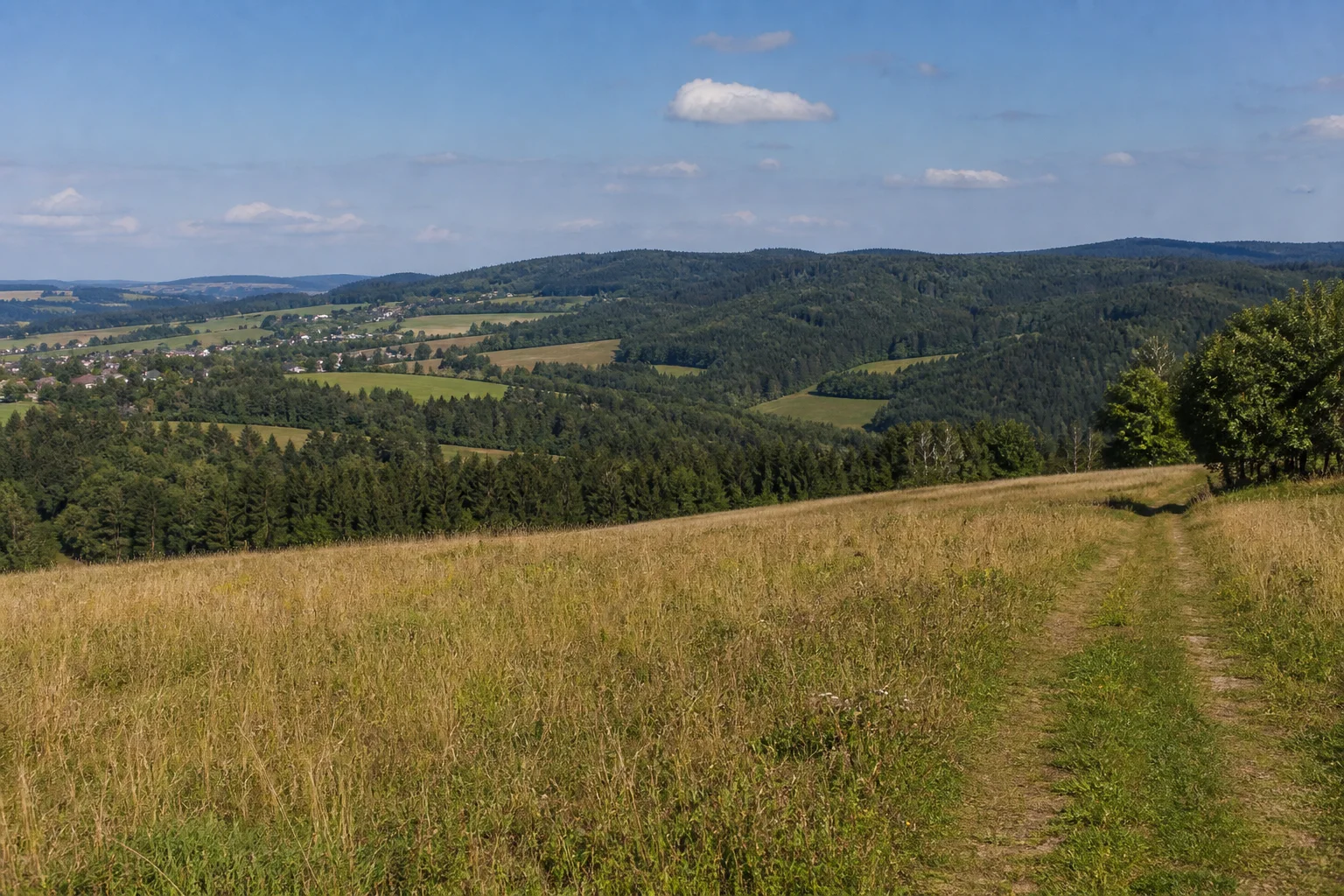Schöneck/Vogtland: Schönecker Hochland: weiter Wiesenhang mit dicht bewaldeten abgerundeten Bergrücken