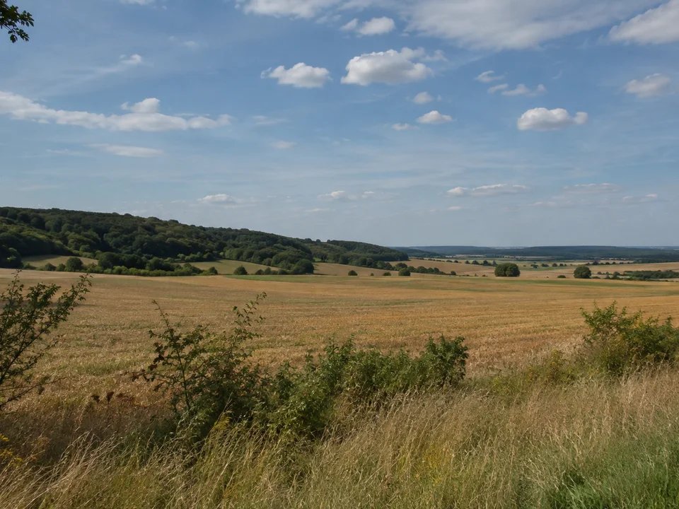 Offene Feldmark bei Esbeck mit niedrigem Elm-Buchenrücken im Westen
