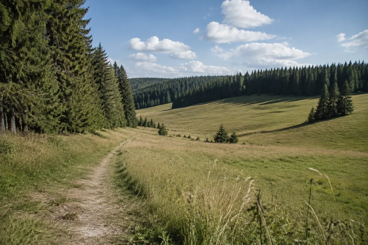 Schönwald im Schwarzwald: 78141 Schönwald im Schwarzwald: Offenes Hochtal mit Grünland und dichtem Nadelwald an den Rändern.
