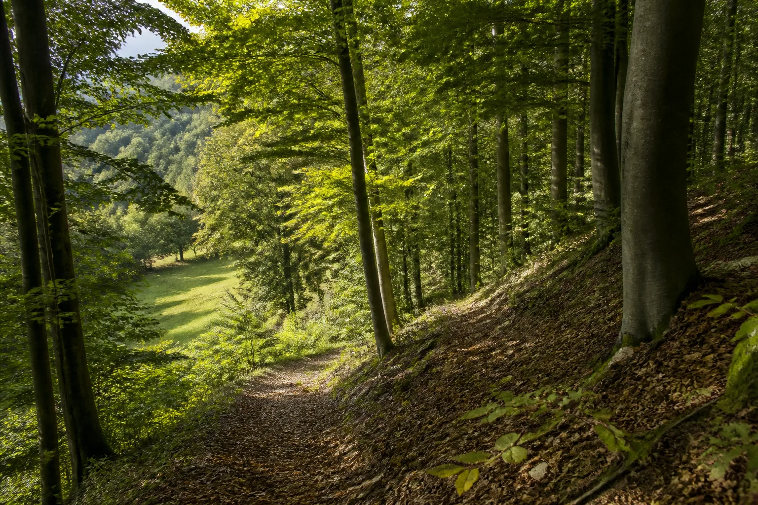 Ramsberg beim Wandern in Schöppingen