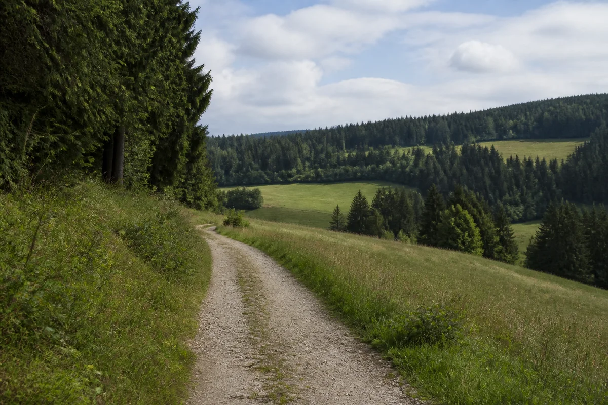 Abgesetztes Wiesental mit bäuerlichen Flächen und Nadelwald.