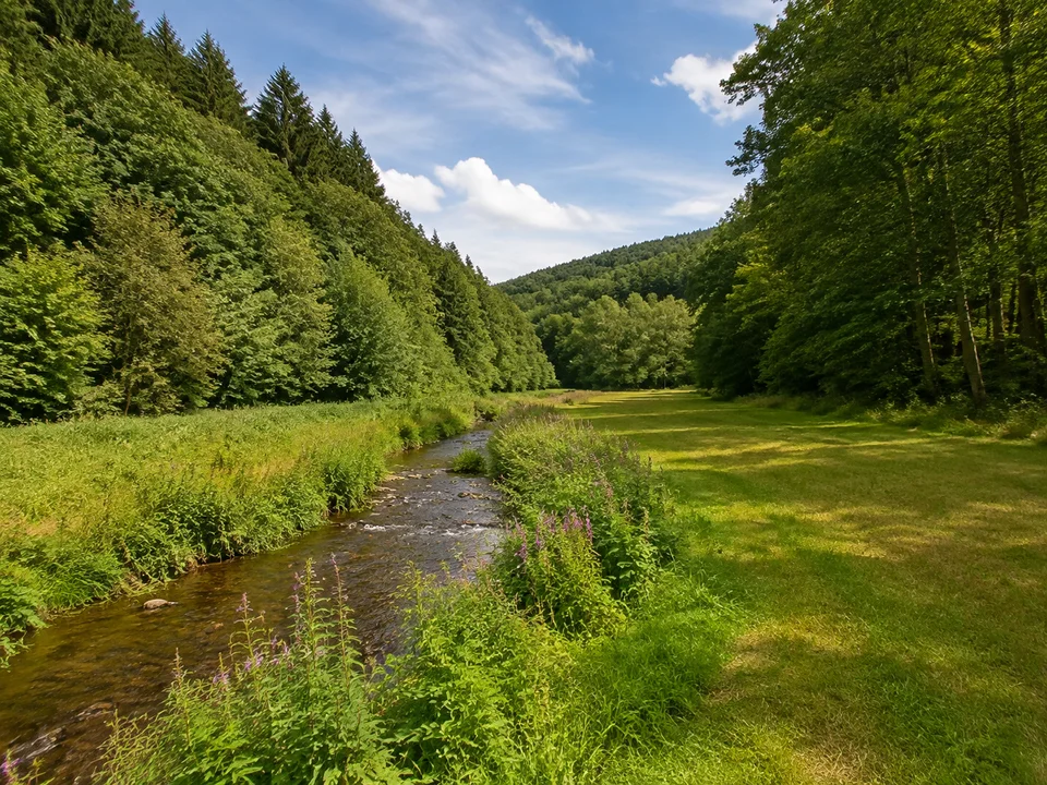 Rudingshainer Waldtal: Kleiner Bach mit Wiesenstreifen zwischen dicht bewaldeten Mittelgebirgshängen