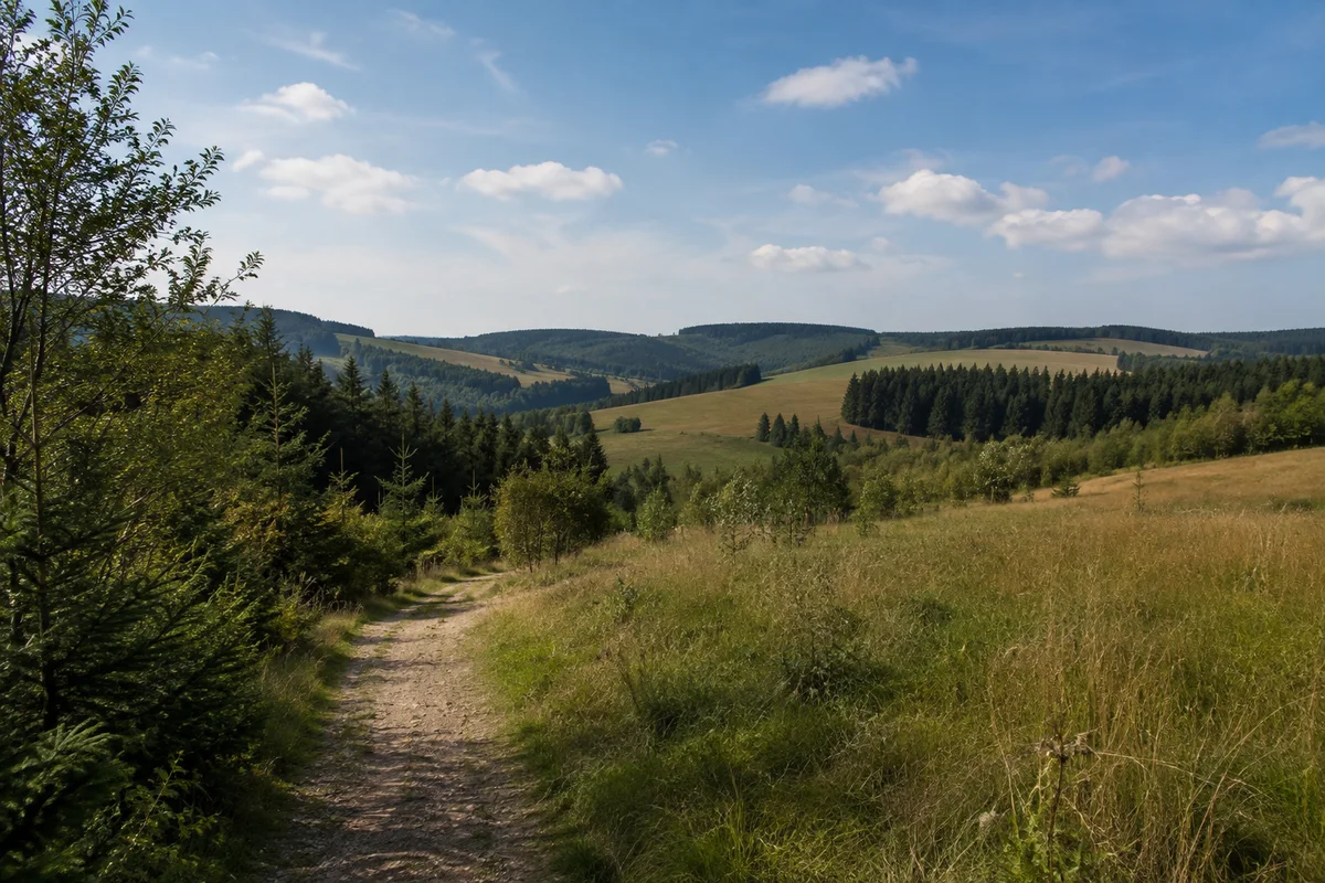 Östliche Hochfläche mit offenen Wiesen, Feldern und Waldinseln.