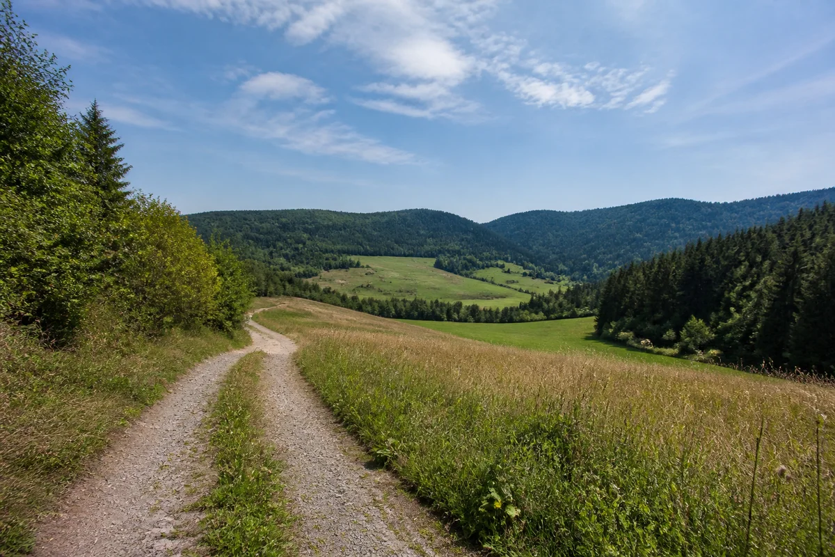 Südliches Hochtal mit bäuerlichen Wiesen und dunklen Waldhängen.
