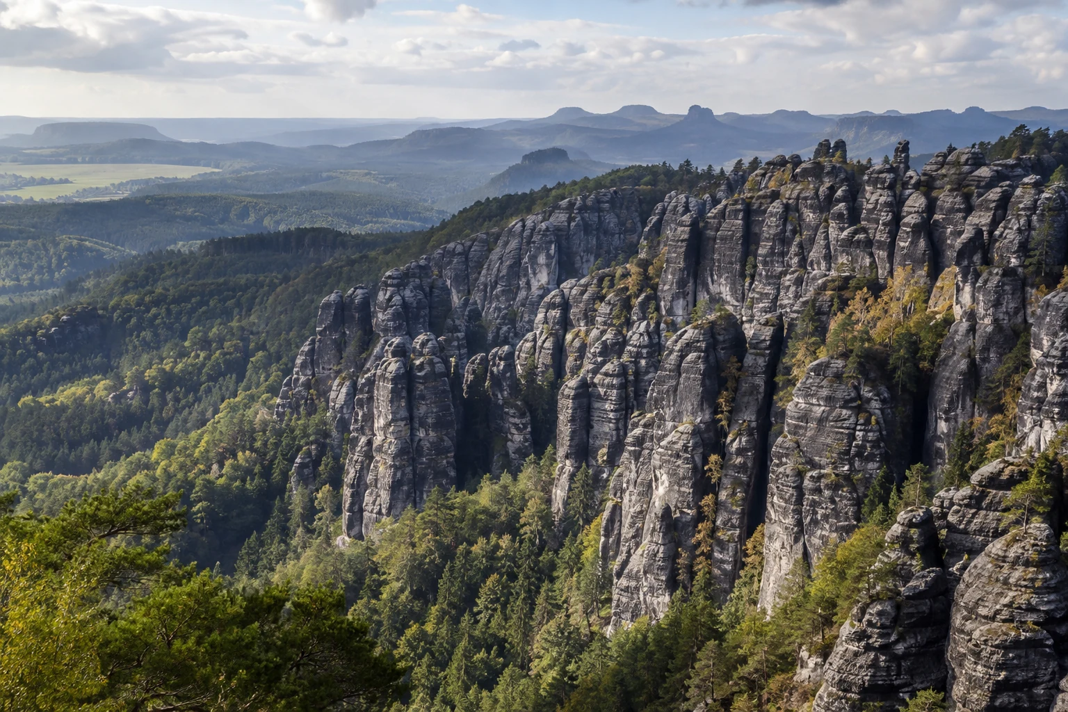 Schrammsteine: gegliederter Sandsteingrat über dichtem Wald