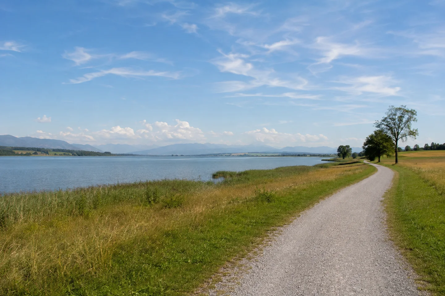 Brunnen bei Schwangau: Wiesen und Schilfrand am großen See, naturnaher Uferweg