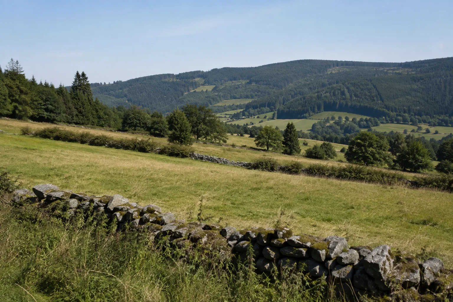 Pöhlaer Heckenland: offene Bergwiesen mit Steinrücken und Waldkuppen
