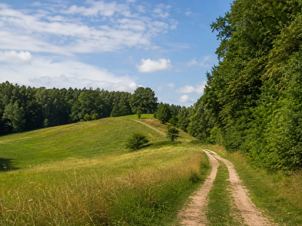 Flur bei Altenthann: Sanfte Anhöhe bei Altenthann mit Wiesen, Feldweg und Laubwaldsäumen, keine hohen Berge und keine erfundene Burg.