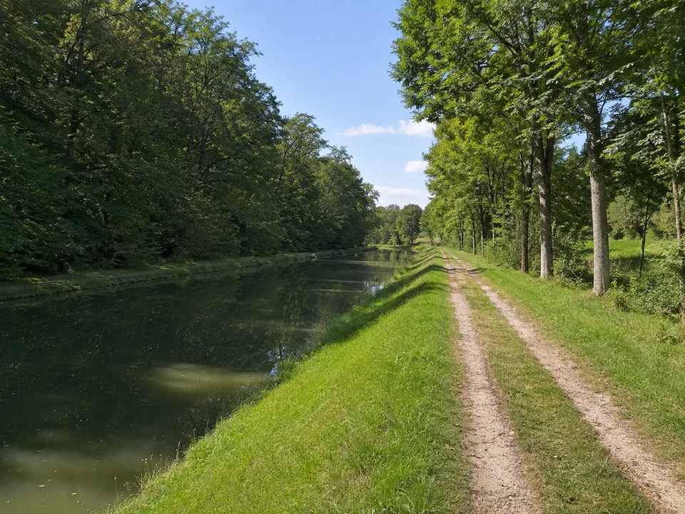 Alter Kanal bei Lindelburg: Schmaler stiller Ludwig-Donau-Main-Kanal bei Lindelburg mit geradem Treidelweg, Grasböschung und Laubbäumen; keine Schiffe.