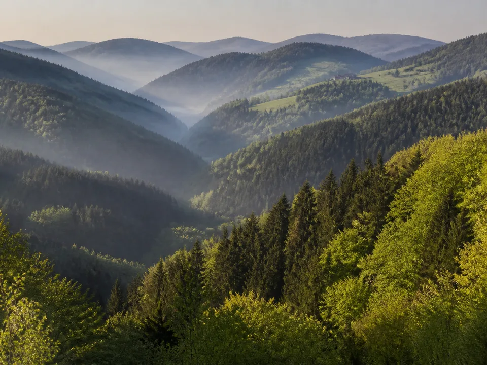 Hochschwarzwald: offene Hochfläche mit dunklem Waldsaum