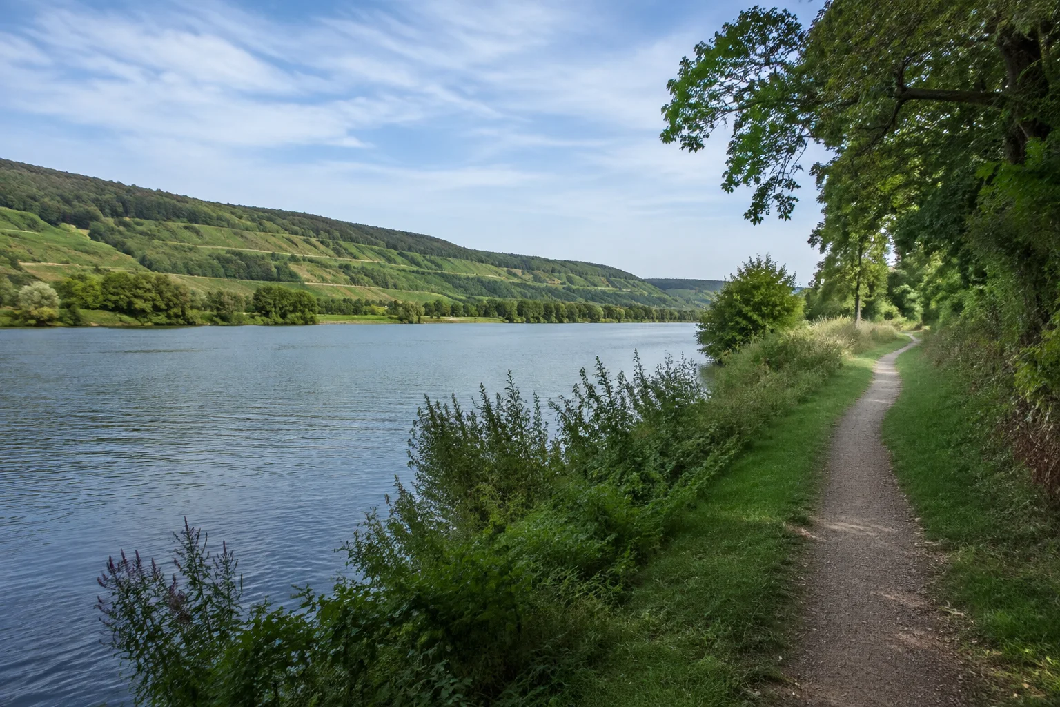 Schweich: Moselufer bei Issel: breiter ruhiger Fluss, grüner Uferweg, gegenüber niedrige Wein- und Waldhänge in weiter Talöffnung.