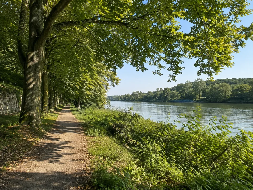 Mainpark Wehranlagen: Ruhiger Parkweg in den Schweinfurter Wehranlagen unter großen Laubbäumen mit Blick auf einen breiten Mainabschnitt