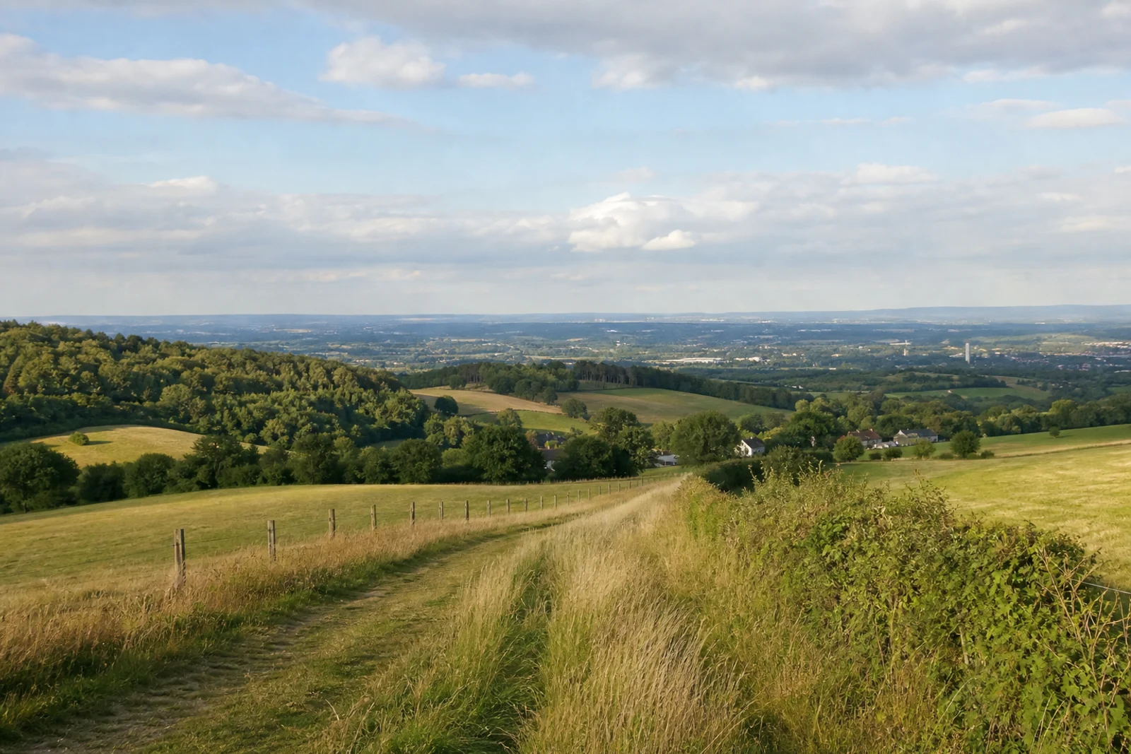 Offene Aussicht vom Linderhauser Rücken