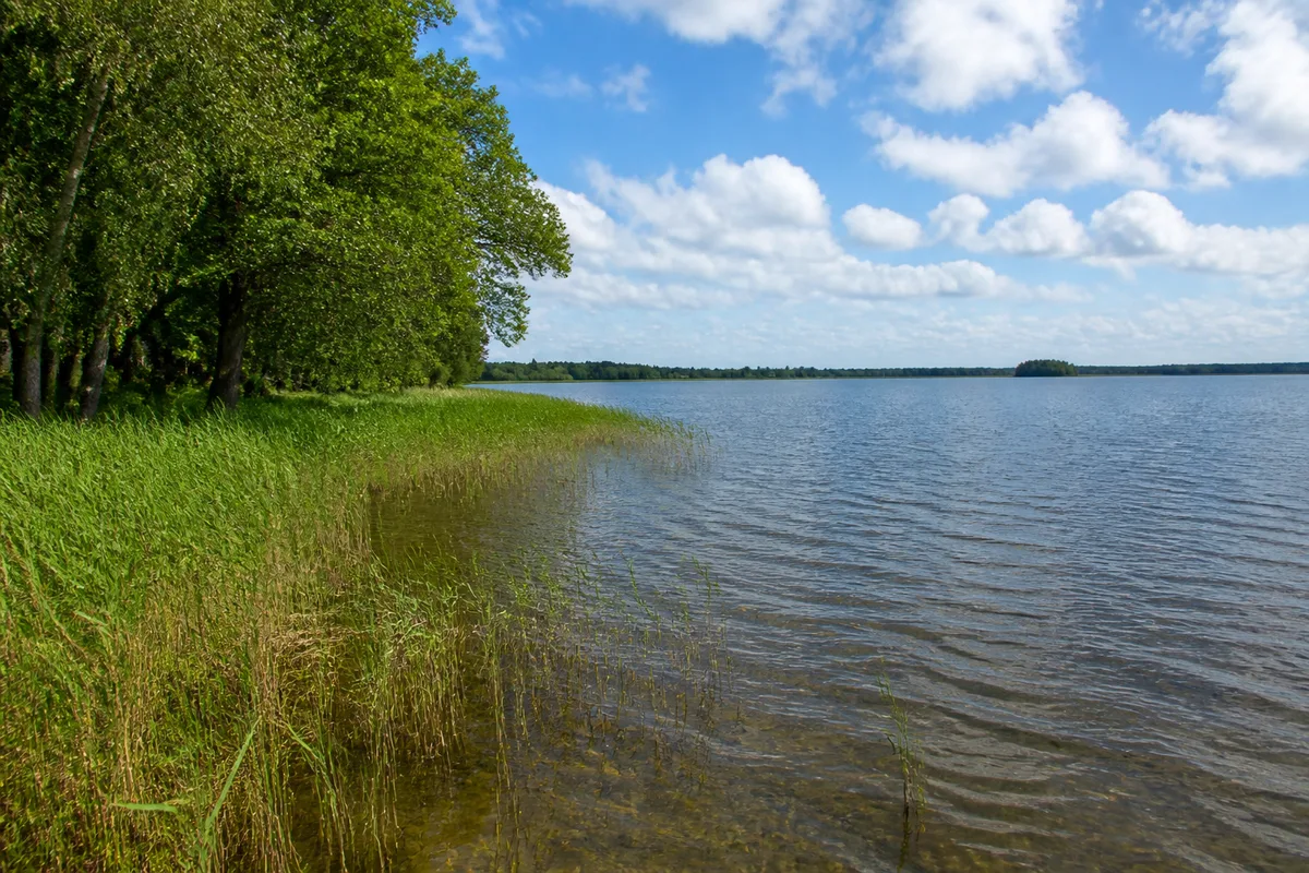 Schweriner See: Schweriner See, Startgebiet Seehof Dorf: Weiter Schweriner Außensee bei Seehof mit Schilf am flachen Ufer