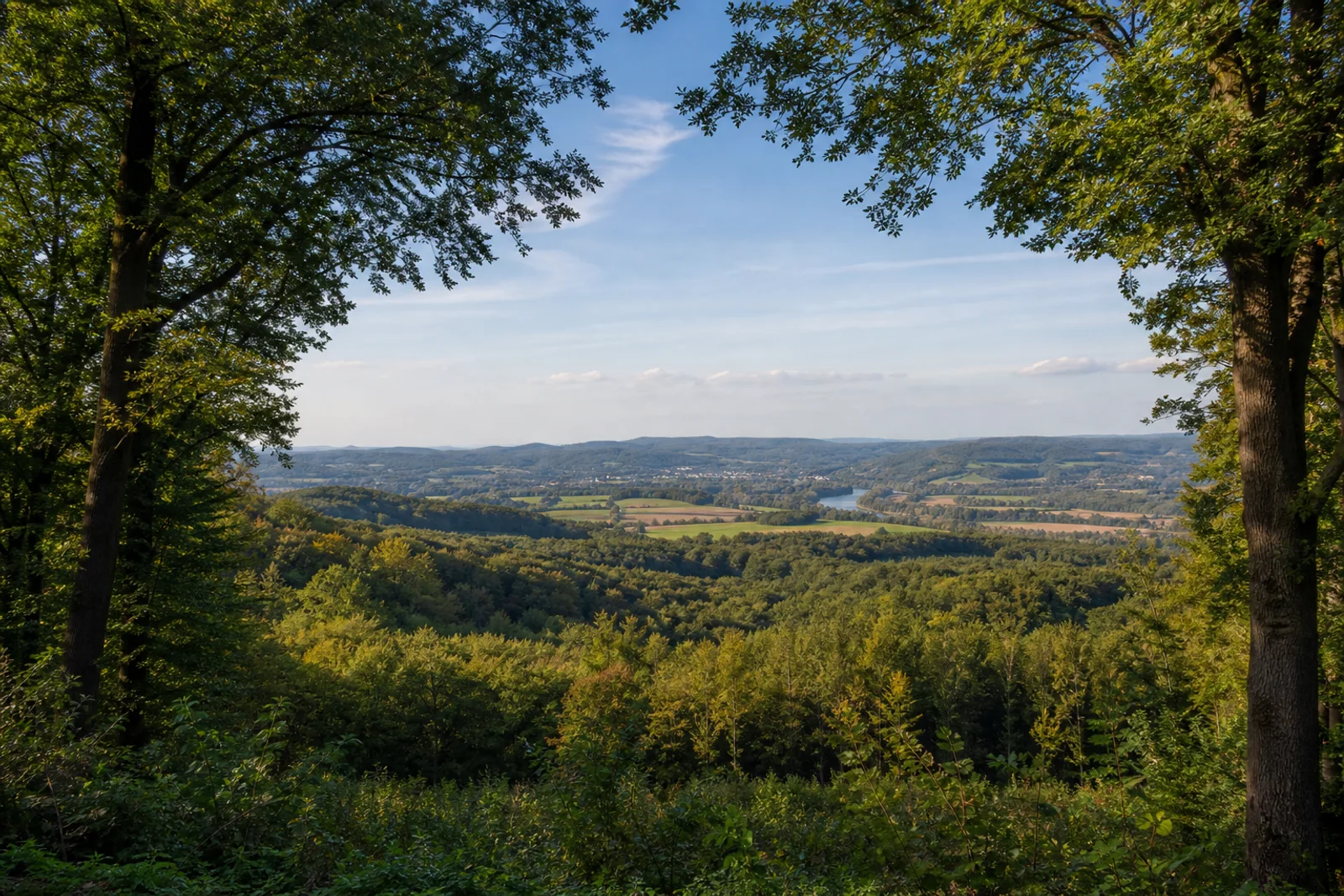 Blick vom Ebberg über das Ruhrtal