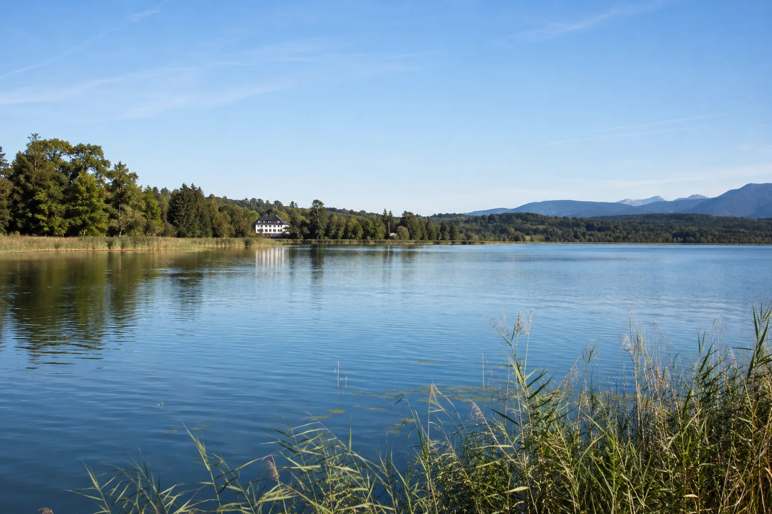 Seeon-Seebruck: Seeon-Seebruck: kleiner eiszeitlicher See bei Seeon mit flachen bewaldeten Ufern und Schilf