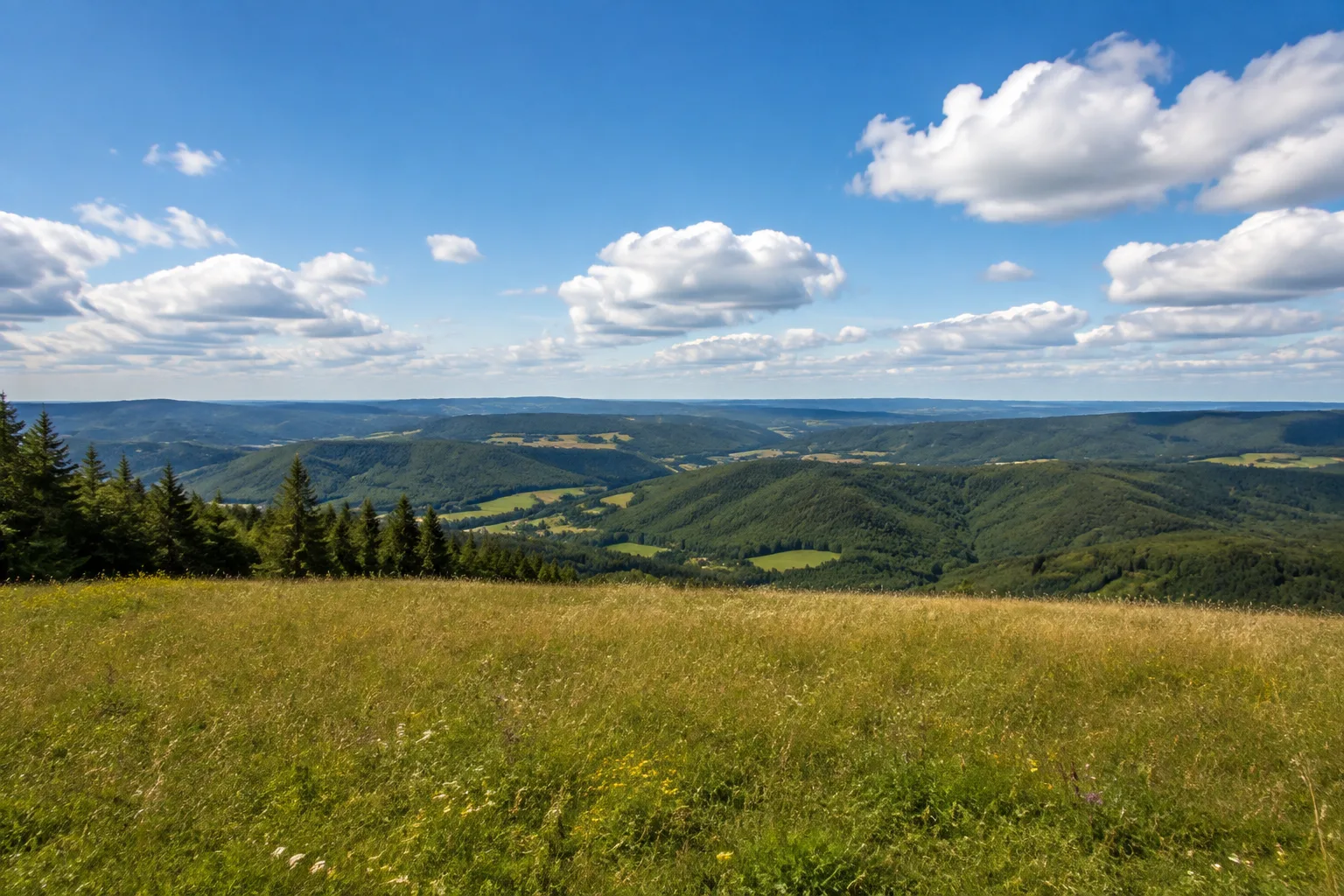 Schwartenberg: offene Kuppe mit Bergwiesen und weitem Erzgebirgsblick